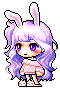 Liatris